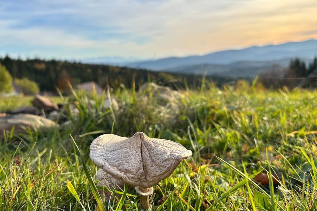 Blizej Nieba Koskowa Gora Villa Bogdanowka Buitenkant foto
