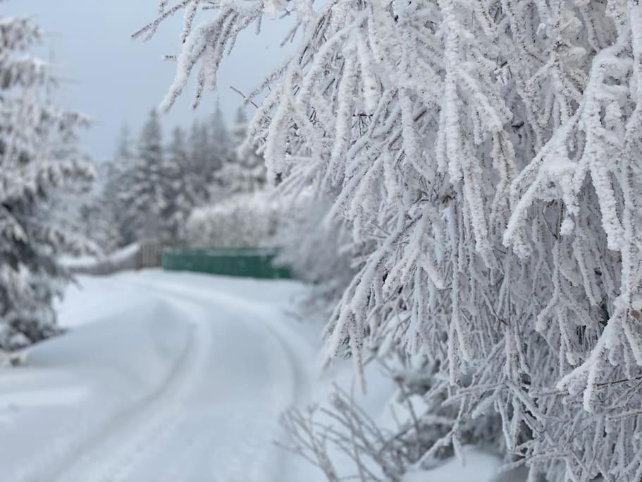 Blizej Nieba Koskowa Gora Villa Bogdanowka Buitenkant foto
