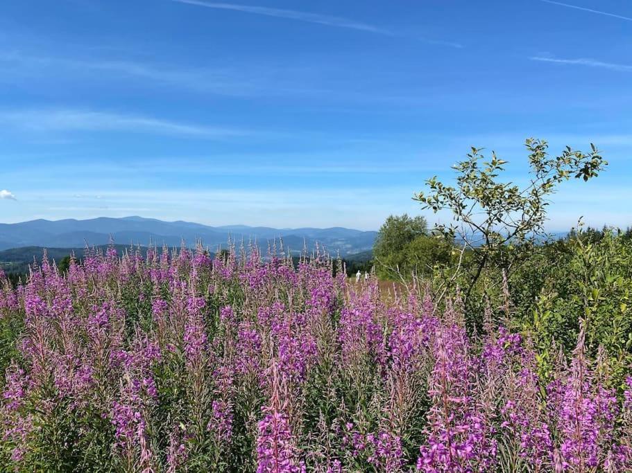 Blizej Nieba Koskowa Gora Villa Bogdanowka Buitenkant foto